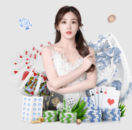 星空综合官网登录入口